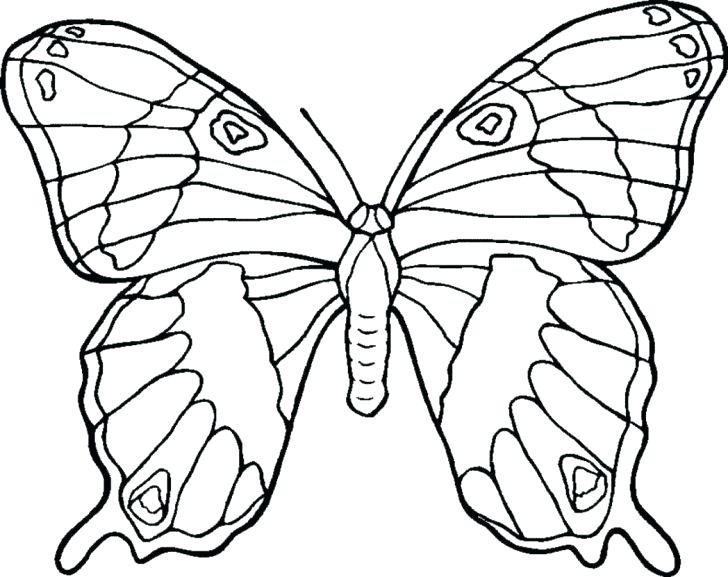 728x577 Butterfly Printable Coloring Pages Monarch Butterfly Coloring