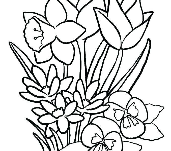 678x600 Coloring Pages Flower Flower Mandala Coloring Pages Lotus Flower