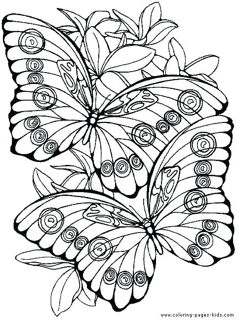 484x648 Flowers And Butterflies Coloring Pages Shippa.co