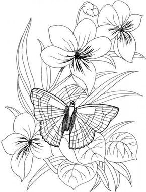 290x382 Butterfly Flower Coloring Pages
