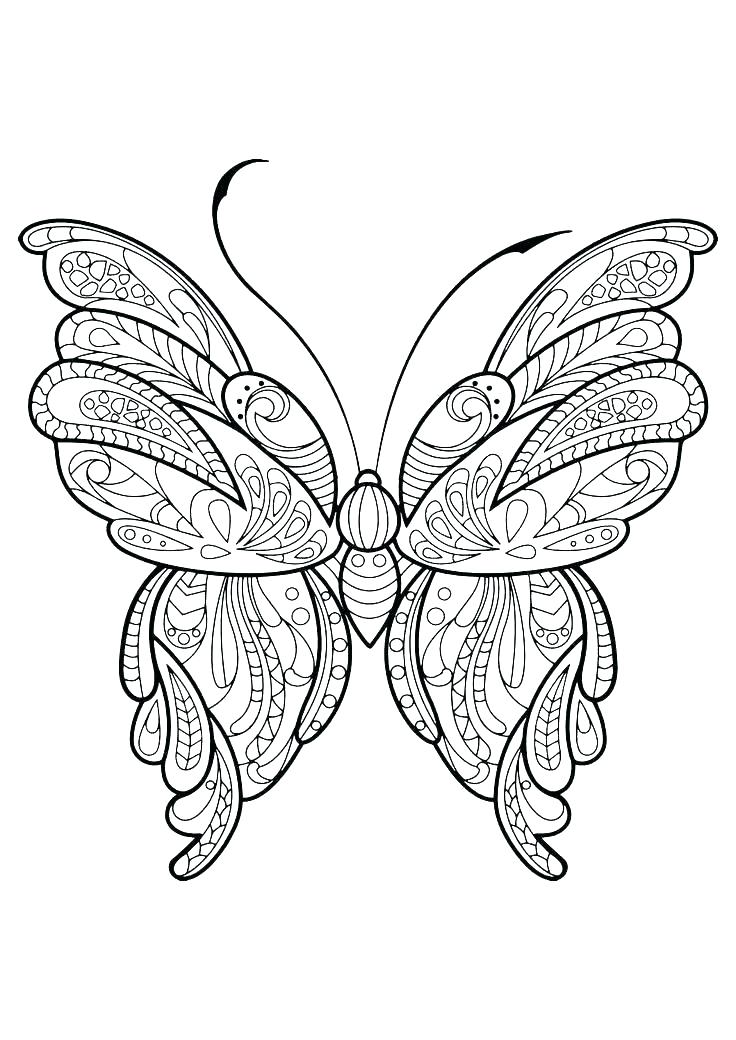 736x1040 Butterfly Coloring Pages For Adults Plus Butterfly Life Cycle