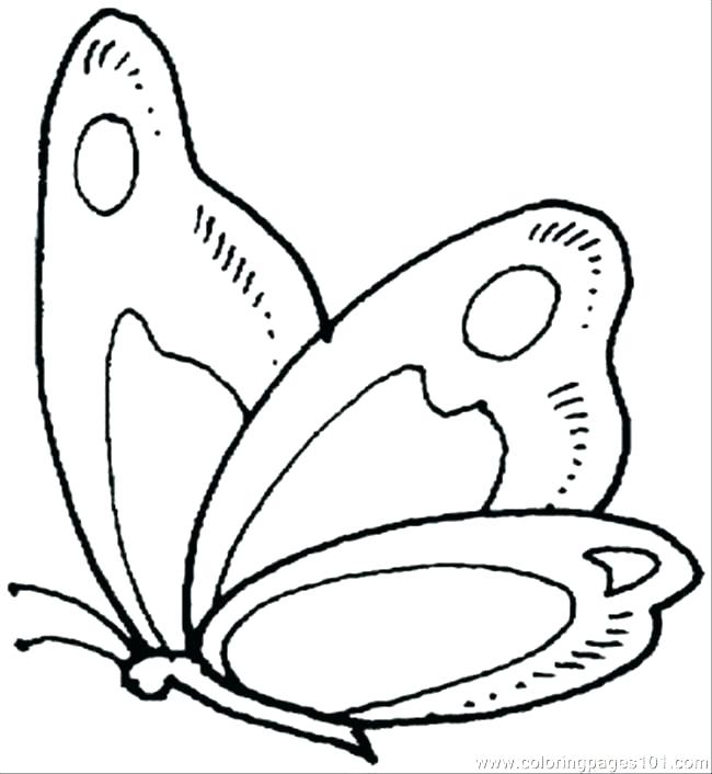 650x706 Butterfly Life Cycle Coloring Page Pdf Free Printable 9 Pag