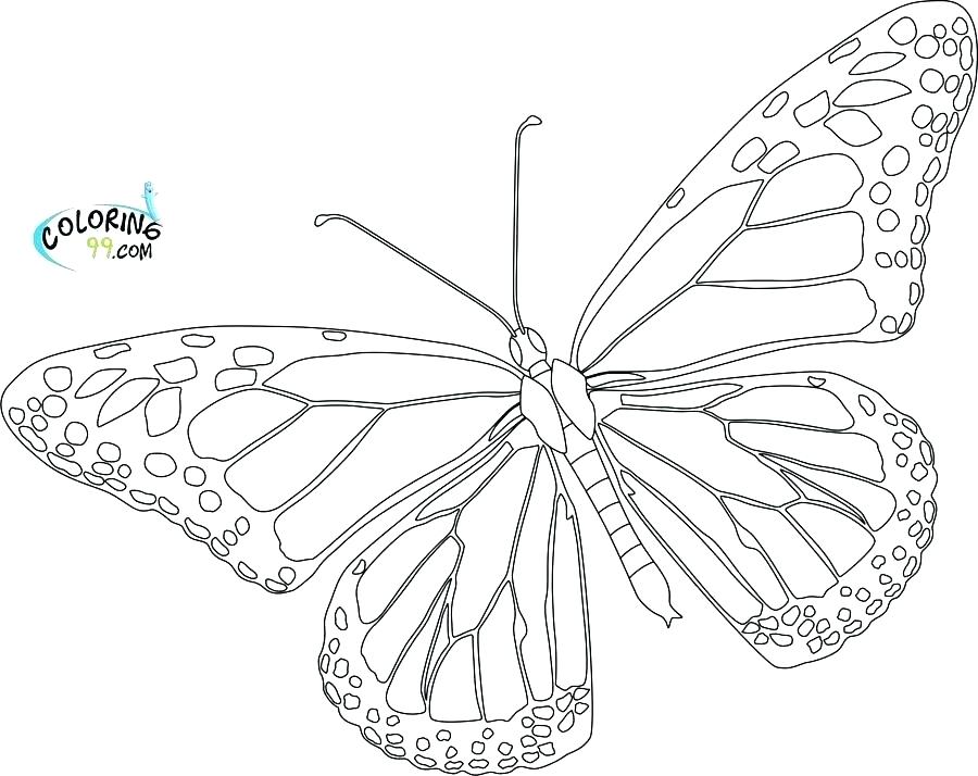 900x714 Frog Life Cycle Coloring Pages For Preschoolers Frog Life Cycle