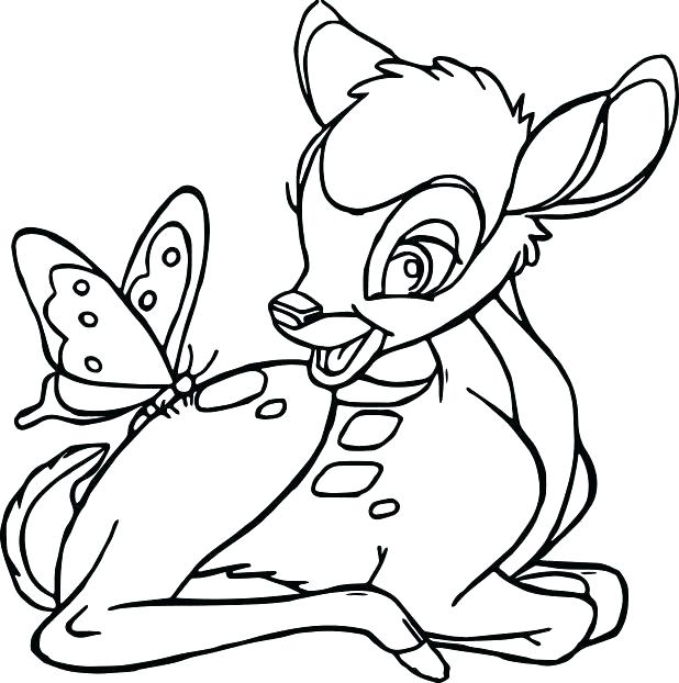 618x622 Life Cycle Butterfly Coloring Page Coloring Page