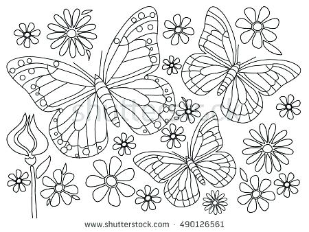450x338 Monarch Butterfly Coloring Page Idea Monarch Butterfly Coloring