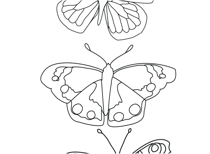 827x609 Printable Butterfly Coloring Page Printable Butterfly Coloring