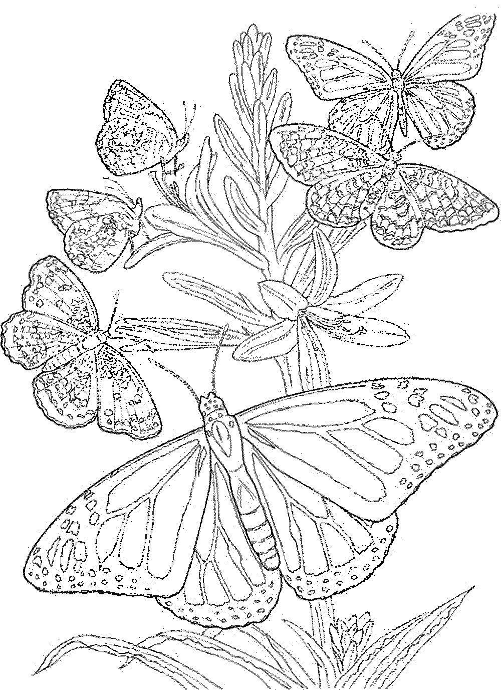 1000x1377 Butterfly Mandala Coloring Pages Related Butterfly Mandala