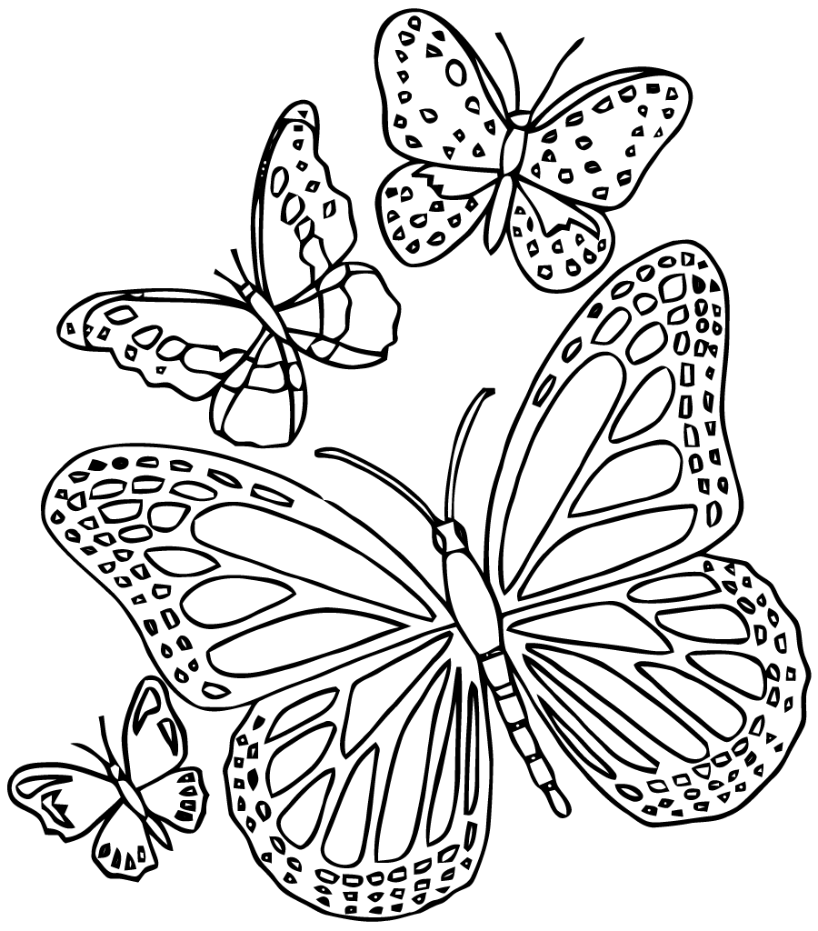 900x1024 Butterfly Mandalas