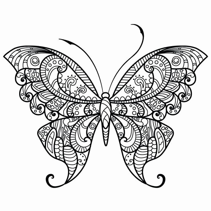 736x736 Free Butterfly Mandala Coloring Pages Collection Simple Butterfly