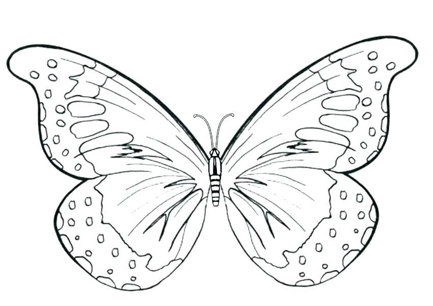 850x600 Free Butterfly Mandala Coloring Pages