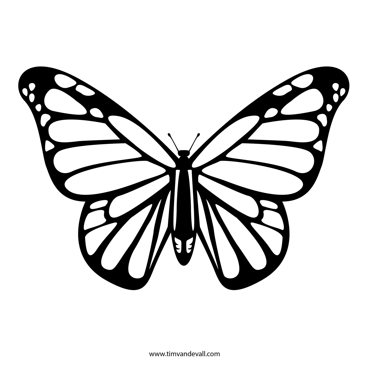 1500x1500 Butterfly Outline Printable Coloring Pages Autorespondersarena