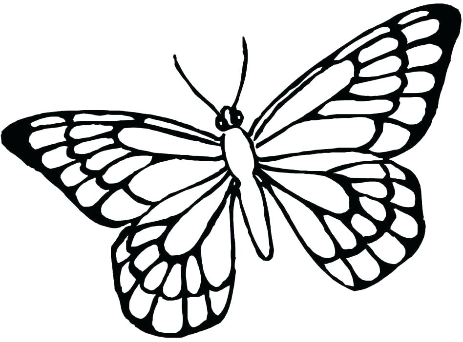 948x702 Butterfly Template Butterflies Butterfly Template Free Coloring