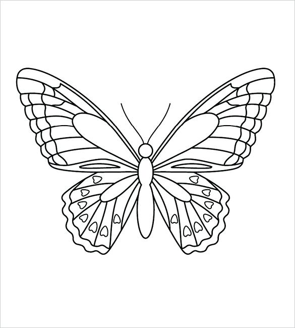 585x650 Outline Of Butterfly To Color Butterfly Outline Colouring Page