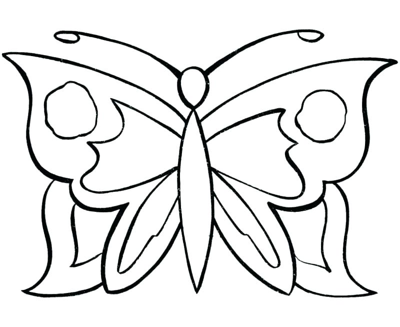 800x653 Printable Butterfly Card Fun For The Girls Butterfly Template