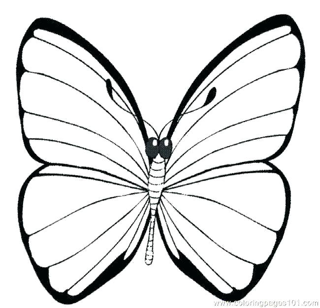 650x626 Beautiful Butterfly Color Page Beautiful Butterfly Color Page