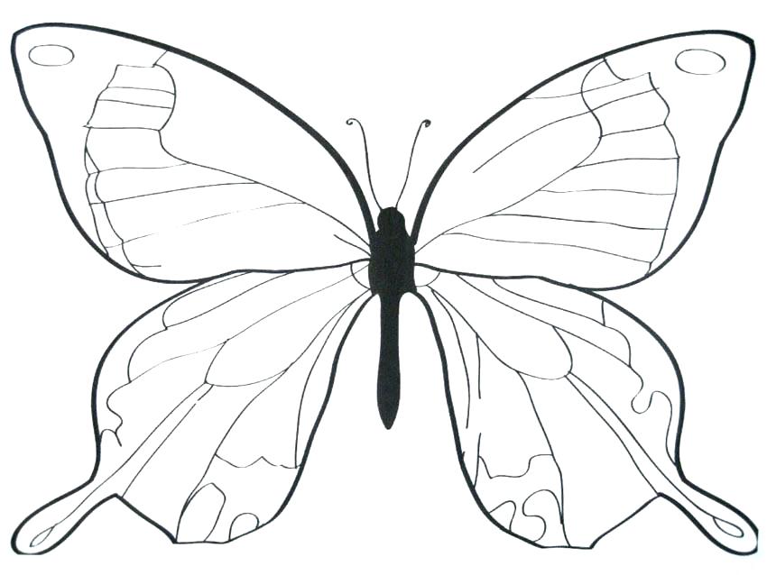 850x638 Butterfly Blank Outline Kids Coloring Butterfly Wings Coloring