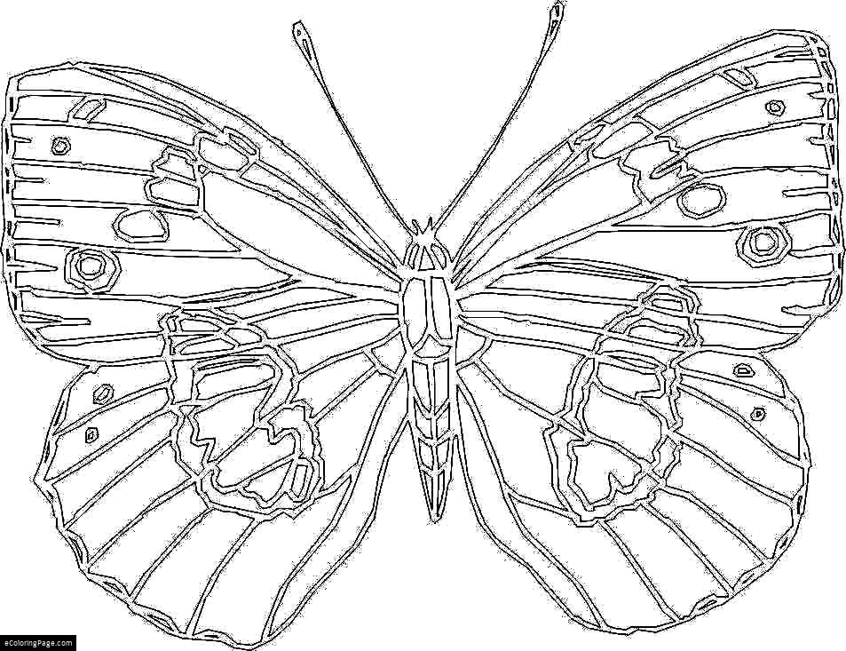 953x733 41 Large Printable Coloring Pages, Princess Coloring Pages Free
