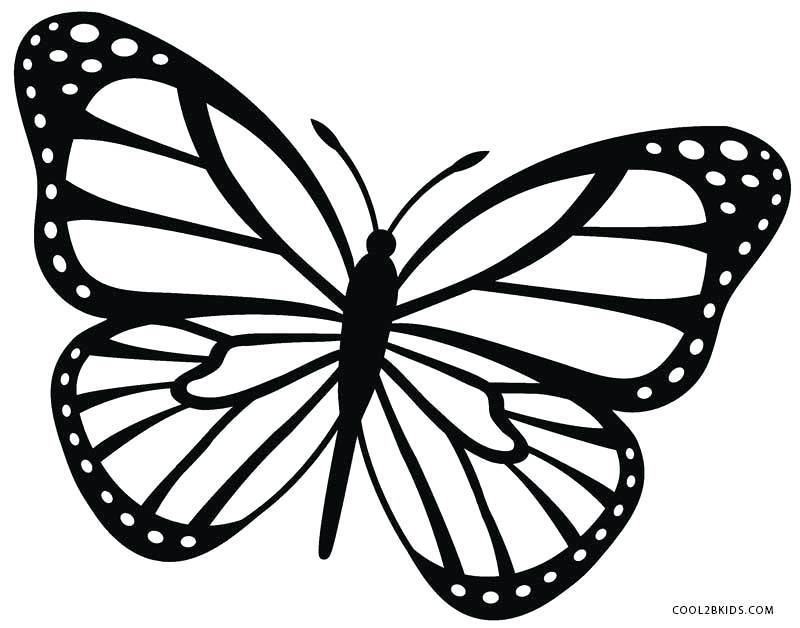 800x628 Coloring Pages Butterfly Awesome Monarch Butterfly Coloring Pages