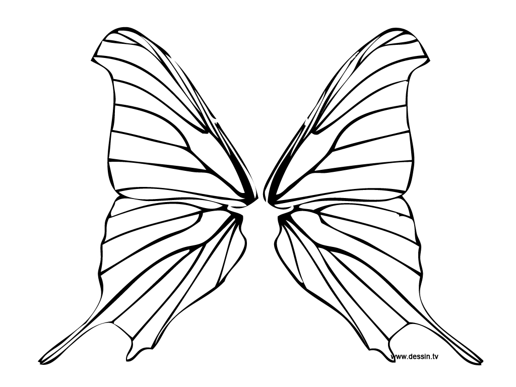 1024x768 Coloring Butterfly Wings