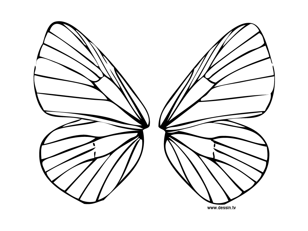 1024x768 Coloring Fairy Wings