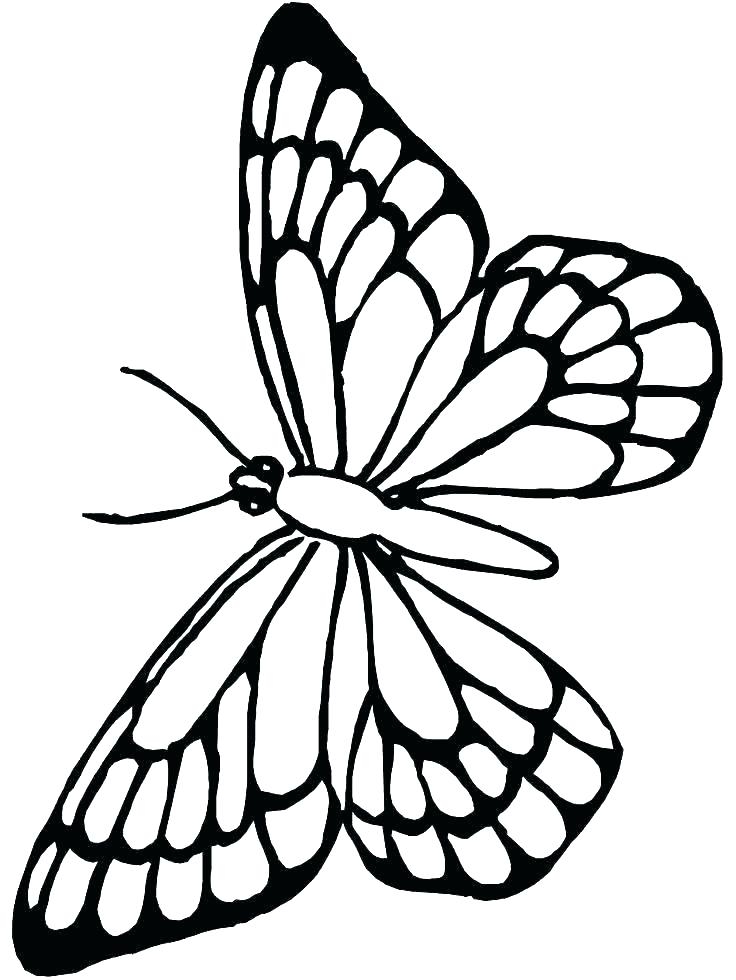 736x980 Colouring Pages Butterfly Wings Simple Butterfly Coloring Pages