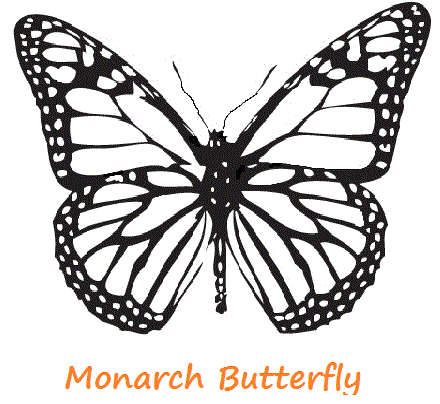 440x404 Butterfly Coloring Pages Butterfly, Tattoo And Stenciling