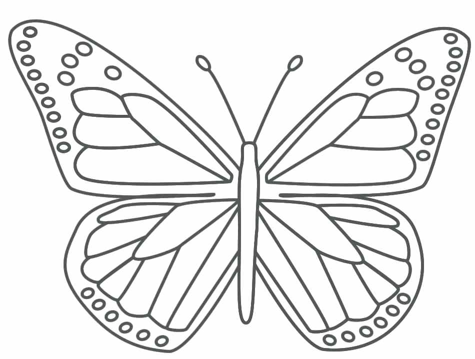 950x719 Butterfly Coloring Pages For Kids Butterfly Wings Coloring Pages