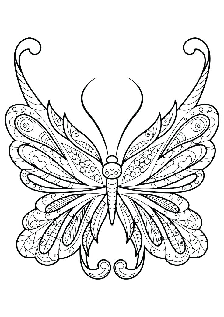 736x1040 Butterfly Picture Coloring Page Best Pictures To Color Ideas