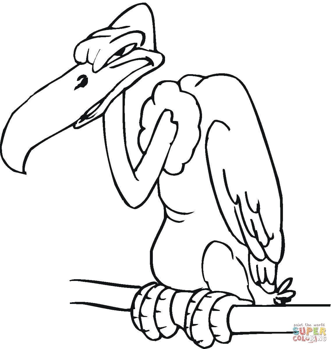 1144x1200 Elegant Buzzard Cartoon Coloring Pages Carving Free