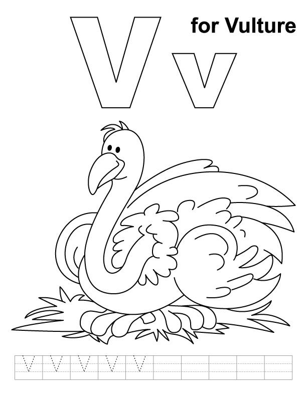 612x792 V For Vulture Coloring Page With Handwriting Practice Vulture