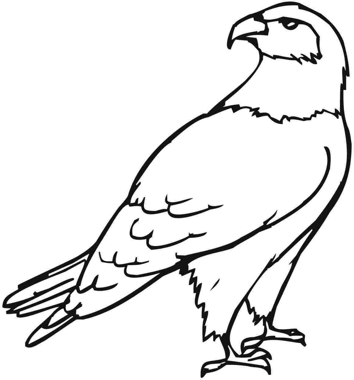 1161x1248 Awesome Eagle Page To Color Design Printable Coloring Sheet