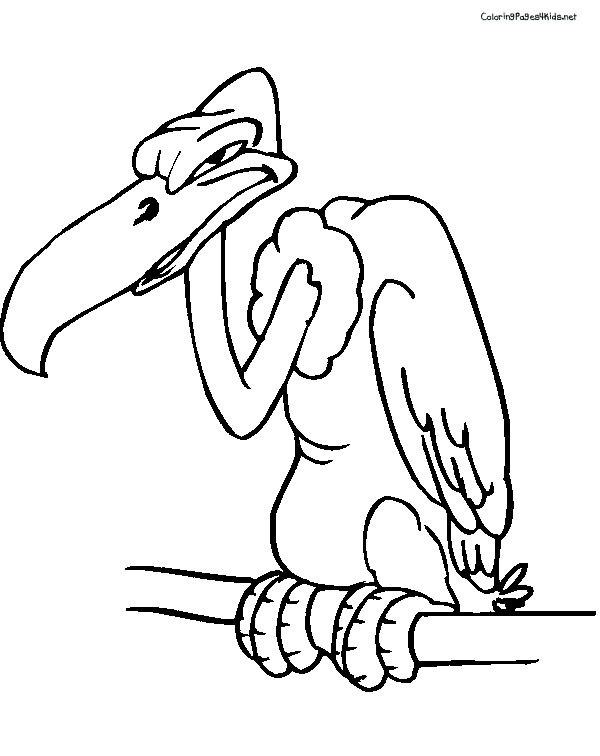 600x756 Vulture Coloring Page