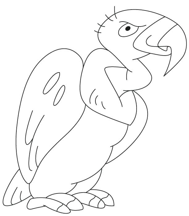 612x700 Vulture Coloring Page Cartoon Grinning Buzzard Vulture Coloring