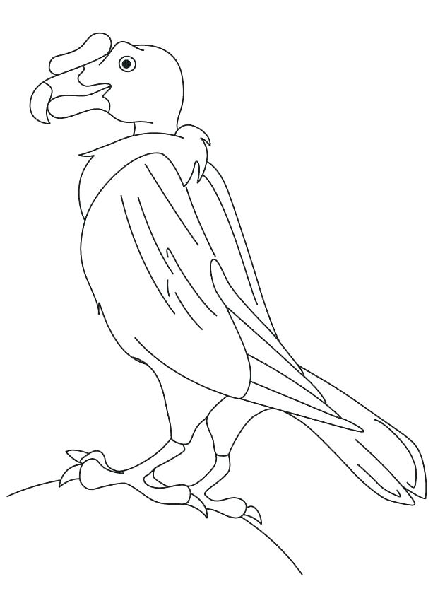 613x860 Vulture Coloring Pages Buzzard Coloring Page From Vultures