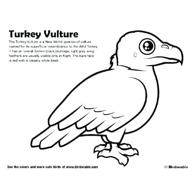 400x400 Vulture Coloring Pages Vulture Coloring Page Vulture Color Pages