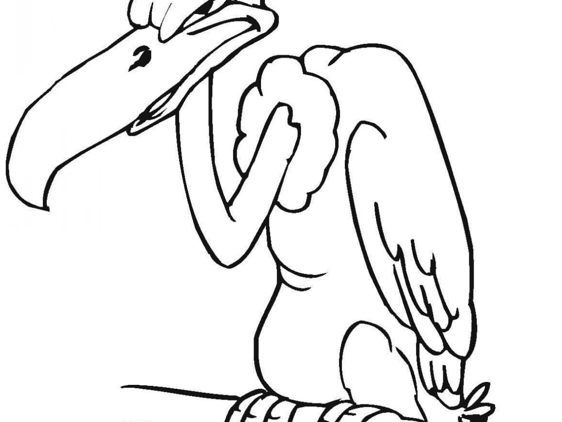1152x864 Vultures Flying Buzzard Birds Coloring Pages For Kids Free Vulture