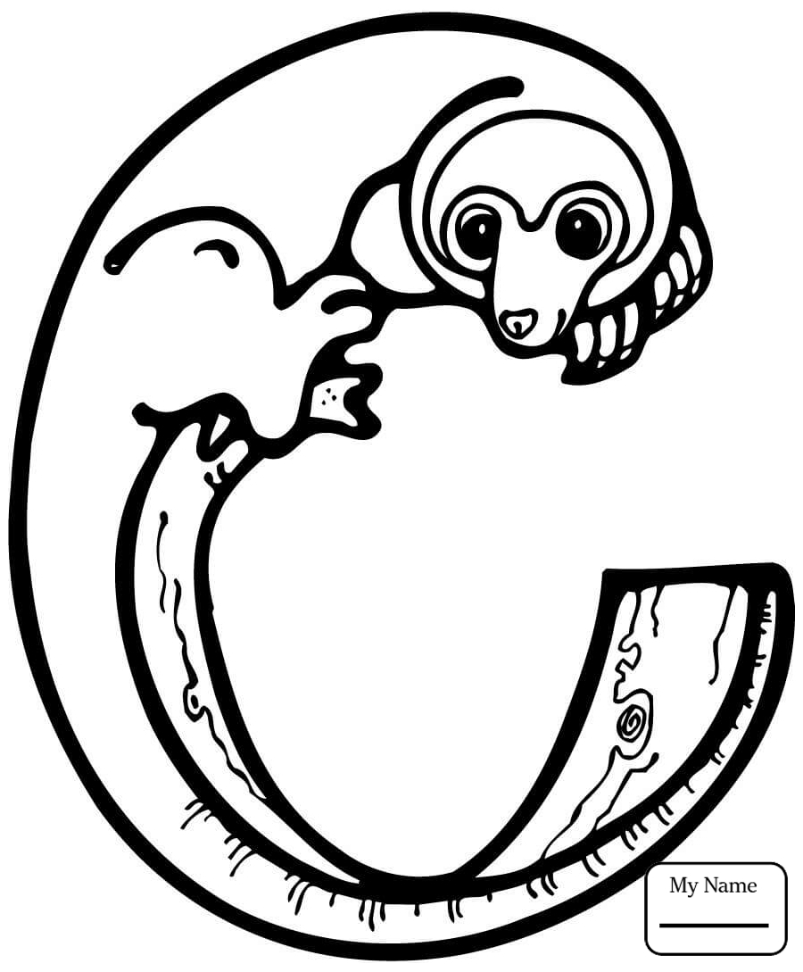 900x1089 New Alphabet Coloring Page Capital Letter C Stock Vector Free
