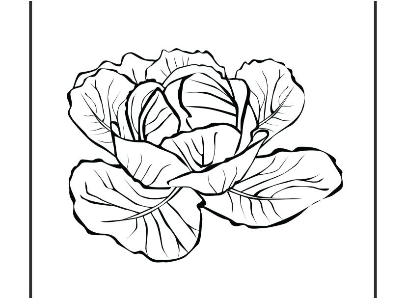 827x609 Coloring Pages Plants Sprout Coloring Pages Stock Cool Coloring