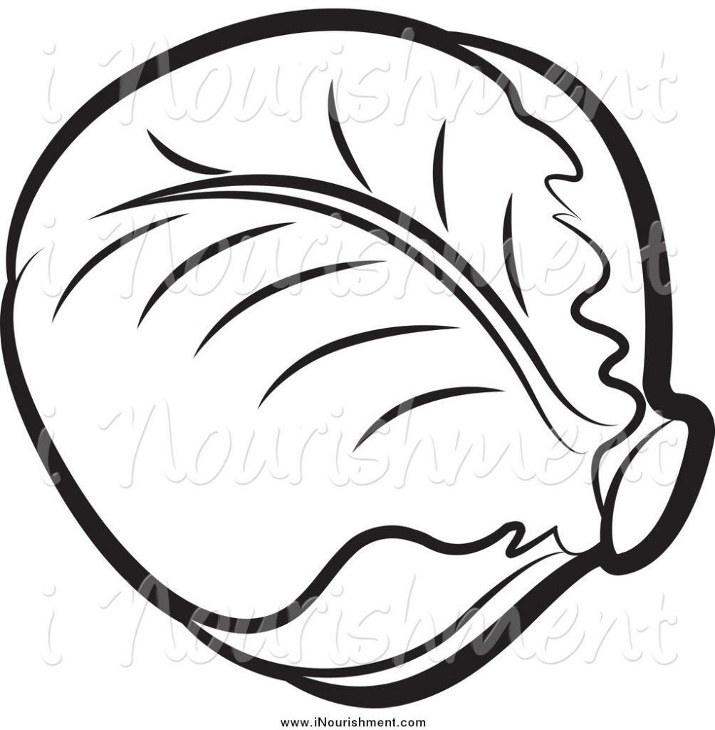 1004x1024 Unique 2iceberg Lettuce Coloring Pages Design Free Coloring Pages