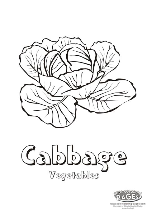 472x678 Cabbage