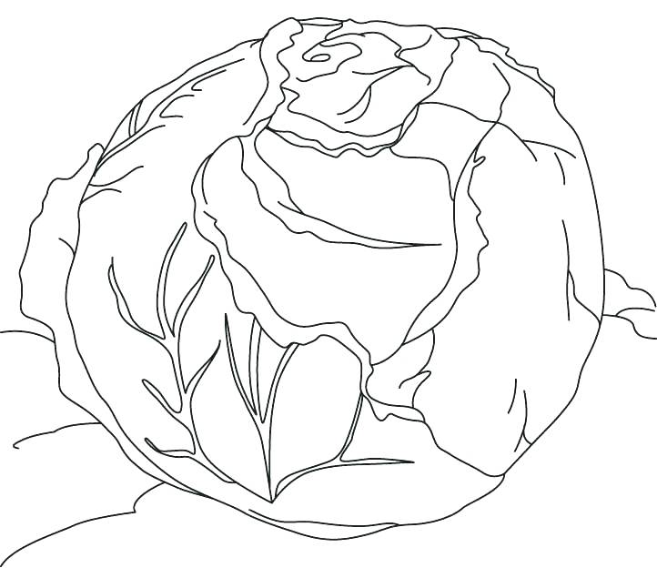 722x624 Cabbage Patch Kids Coloring Pages Cabbage Patch Kids Coloring