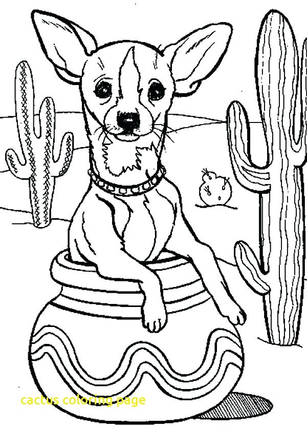 600x837 Cactus Coloring Page With Cactus Coloring Pages Nature Cactus