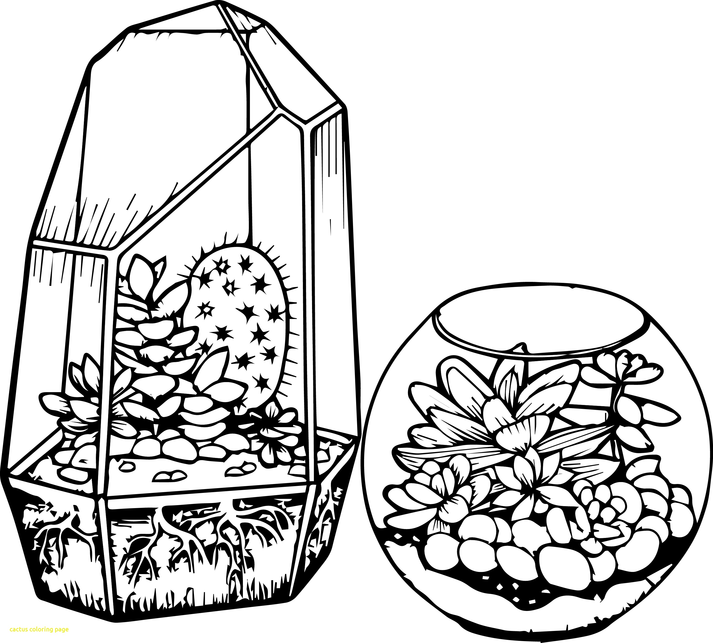 2959x2669 Cactus Coloring Page With Top Cactus Coloring Sheet 2 4103