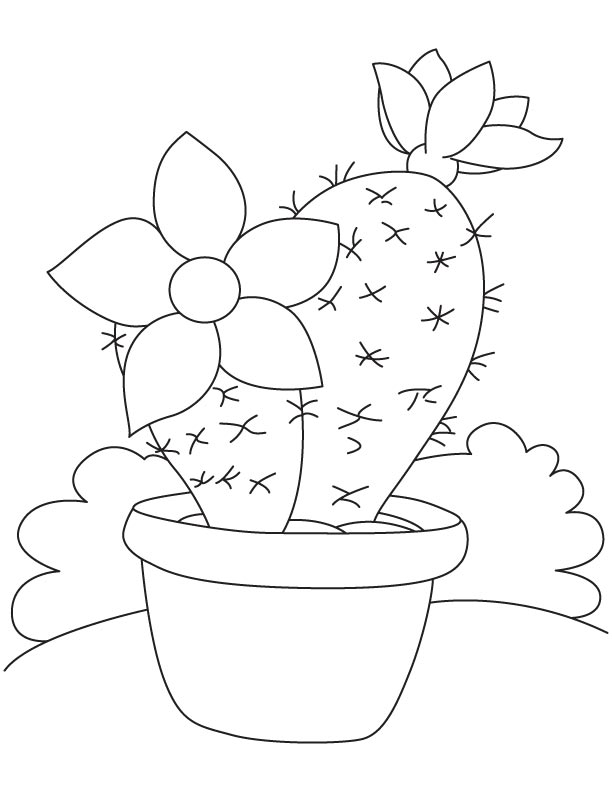 612x792 Cactus Coloring Pages
