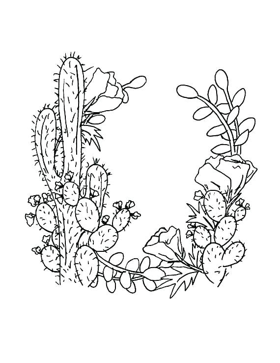 570x738 Cactus Coloring Pages Cactus Coloring Page Cactus Coloring Pages
