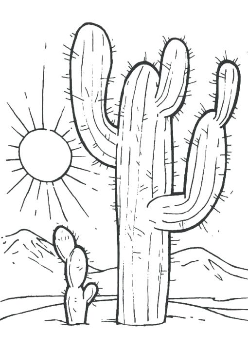 510x724 Cactus Coloring Pages Fresh Saguaro Cactus Coloring Page Image
