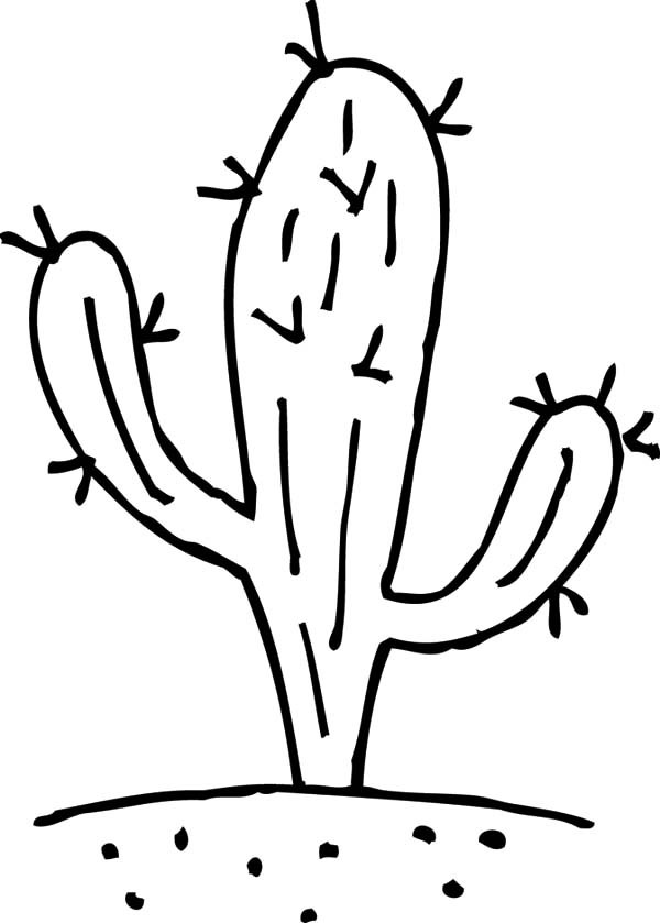 600x839 Cactus Pictures To Color How To Draw Cactus Coloring Pages Best