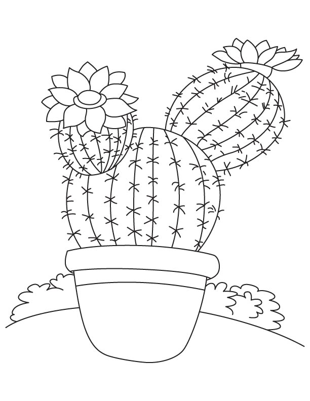612x792 Cactus Coloring Page Amazing Cactus Coloring Page 98 On Model