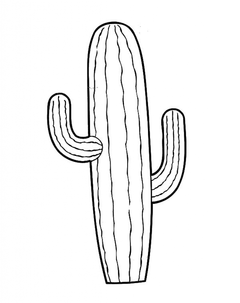 811x1024 Impressive Cactus Coloring Sheet 24 Page