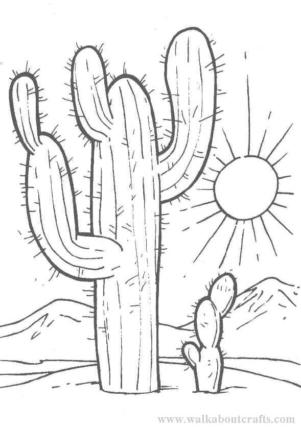 589x836 Cactus Coloring Page Cactus Coloring Pages Cactus Textiles